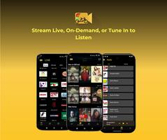 BDCast تصوير الشاشة 1