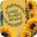 Vœux de Thanksgiving APK