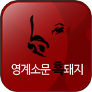 영계소문 흑돼지 APK