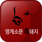 영계소문 흑돼지 icon