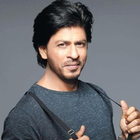 Sharukh Khan Wallpapers 图标