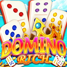 Domino Rich 아이콘