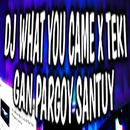 Dj What You Came Domino APK