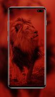 Lion Wallpaper captura de pantalla 3