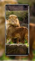 Lion Wallpaper captura de pantalla 1