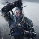 APK The Witcher Wallpaper