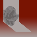 Australians in the Somme 16&18 APK