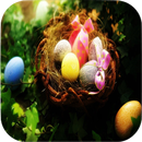 Easter Eggs Wallpapers APK