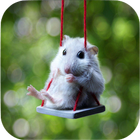 Hamster Wallpapers biểu tượng