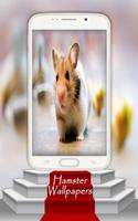 Hamster Wallpapers Plakat