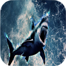 Shark Wallpapers APK