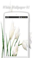 White Wallpapers syot layar 1