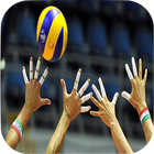 Volleyball Wallpapers icône