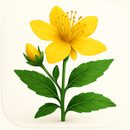 Şifalı Bitkiler APK