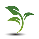Şifalı Bitkiler APK
