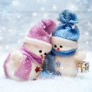 Winter Wallpaper Background APK