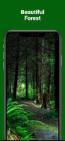 Forest Live Wallpapers hd poster
