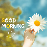 Cute Good Morning Messages ikona
