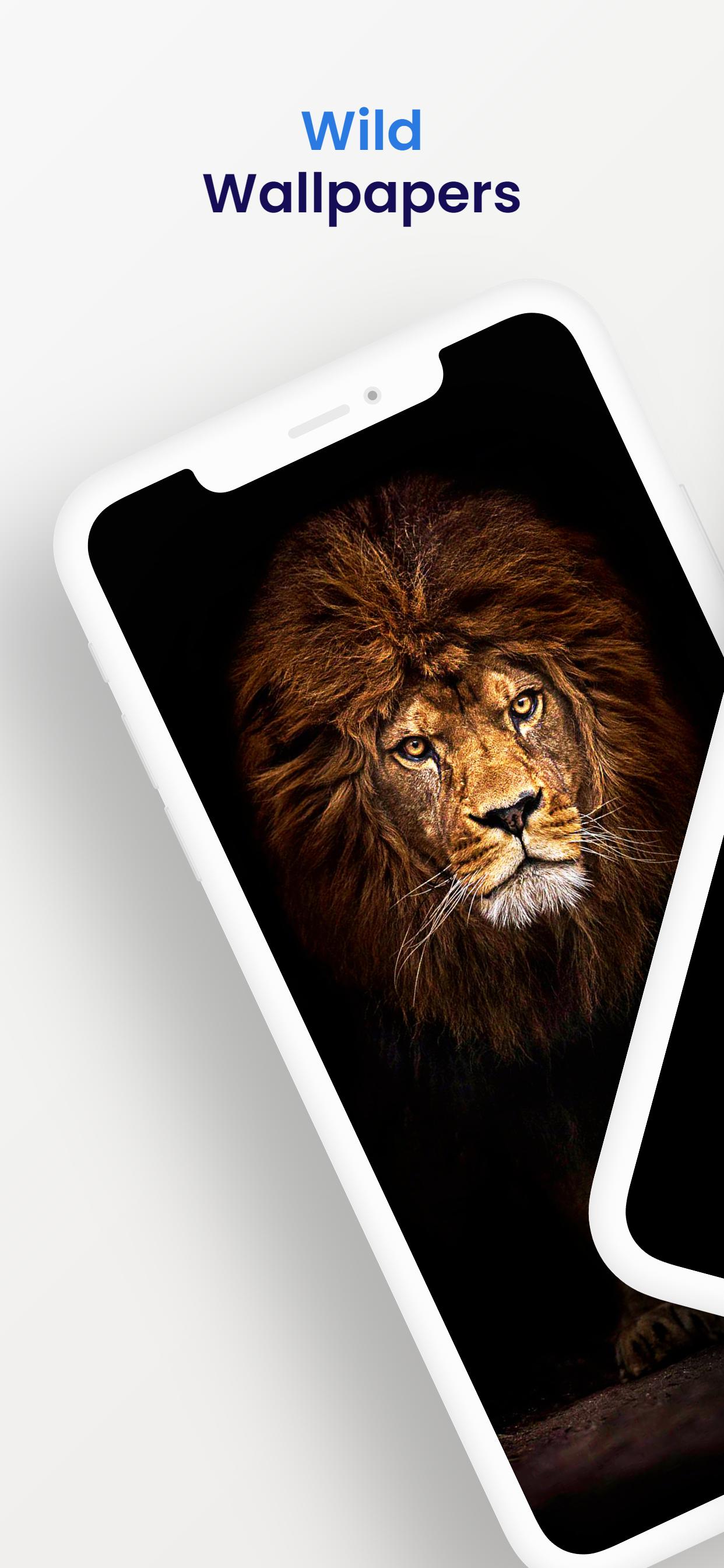 Tải xuống APK Lion Wallpaper Images cho Android Tải xuống APK Lion Wallpaper Images cho Android