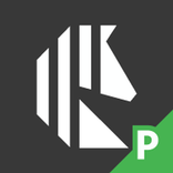Pimow