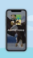 Poster Animal Voice