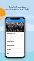 Animal Voice screenshot 3