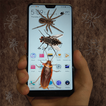 虫子在屏幕上爬行恶作剧，虫子在手机上蠕动，手机里的虫子