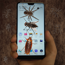 bug prank on screen aplikacja