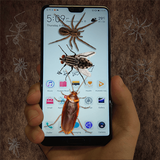 虫子在屏幕上爬行恶作剧，虫子在手机上蠕动，手机里的虫子