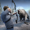 Archery Fever