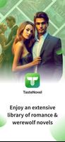 Tastenovel постер