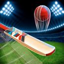 APK Knock Knock Cricket 2019