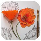 300+ Easy Flower Drawing Ideas 圖標