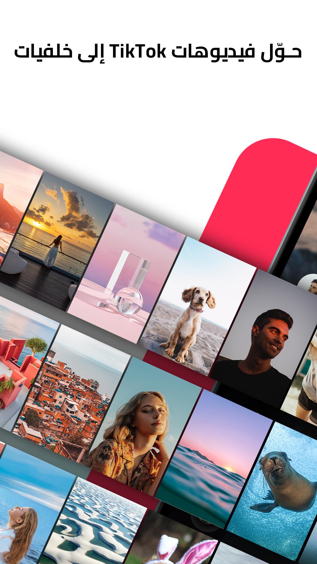 TickTock-TikTok Live Wallpaper APK للاندرويد تنزيل TickTock-TikTok Live Wallpaper APK للاندرويد تنزيل