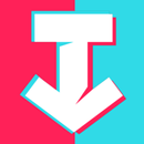 TT Video Downloader- SSSTik 2 APK