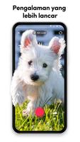 TikTok Lite screenshot 3