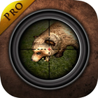 Forest Hunting icon