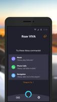 Roav VIVA poster