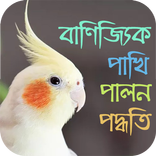 বাণিজ্যিক পাখি পালন পদ্ধতি