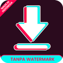 TikSave: Downloader for Tiktok APK