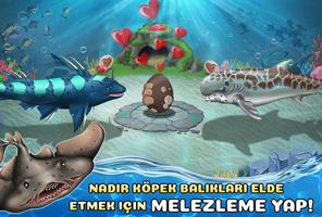 Shark World Ekran Görüntüsü 3