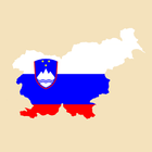 Mesta Slovenije icône