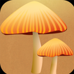 Ziggypop icon