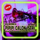 DJ Pipipi Calon Istri Terbaru 2021 APK