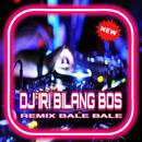 DJ Iri Bilang Bos Terbaru Populer APK