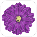 Zifcare Self Development App