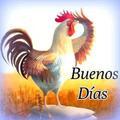 La radio del Gallo