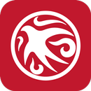ZIYAN CHICKEN APK