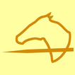 ”Cavalry Assault