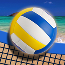 World Beach Volleyball Championship 2019 APK